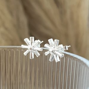 Aros Estrella Polar