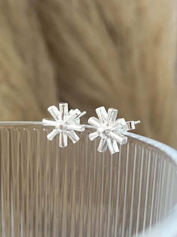 Aros Estrella Polar