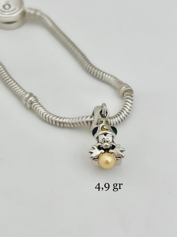 Charm Disney