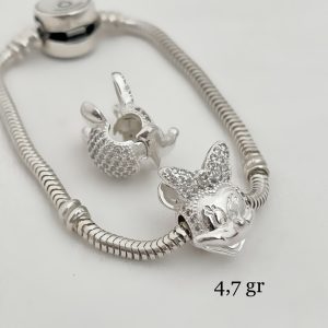 Charm Disney
