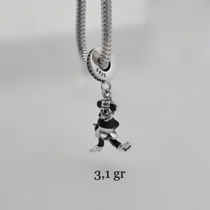 Charm Disney