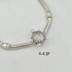 Charm Tortuga