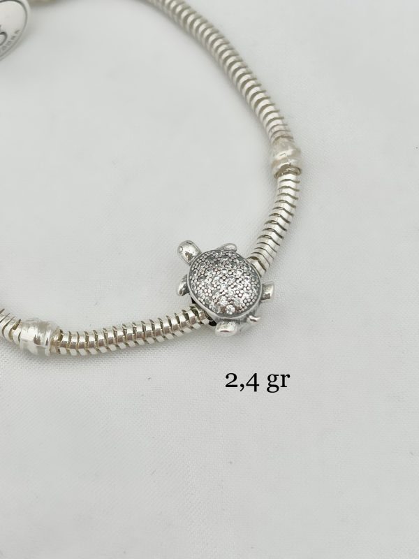 Charm Tortuga
