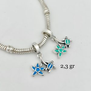 Charm Tortuga