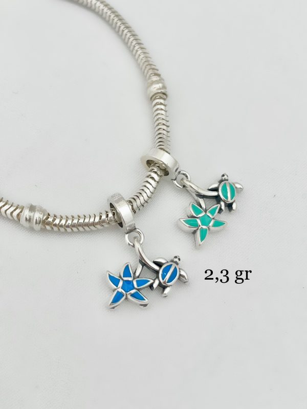 Charm Tortuga