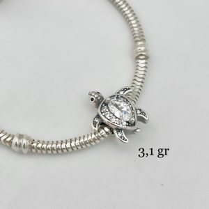 Charm Tortuga