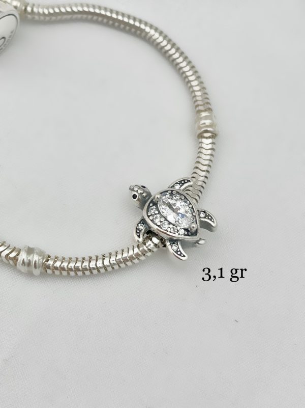 Charm Tortuga